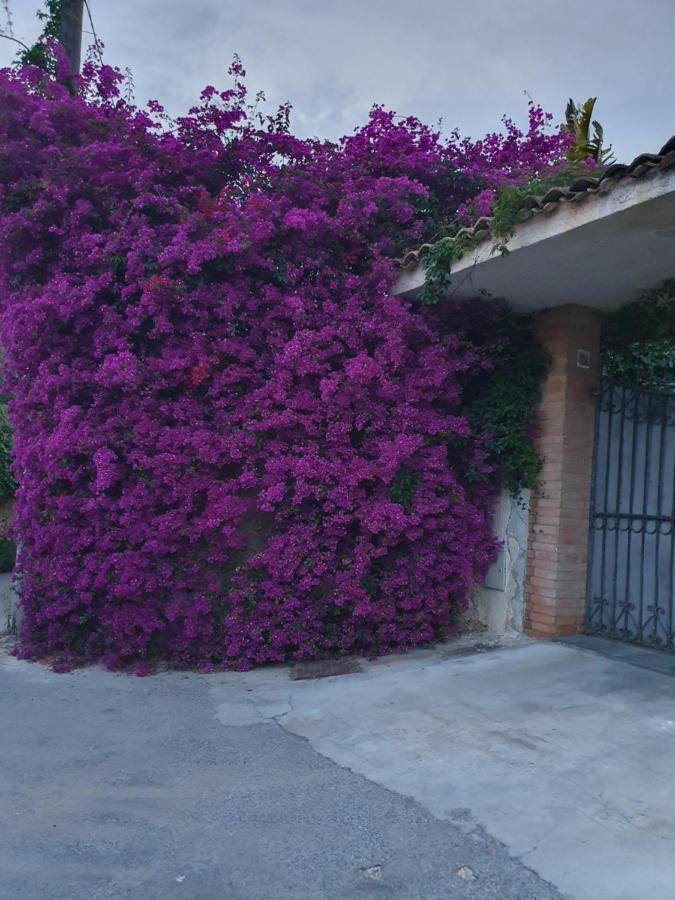 La Latomia Nei Pressi Del Teatro Greco Ferienhaus *